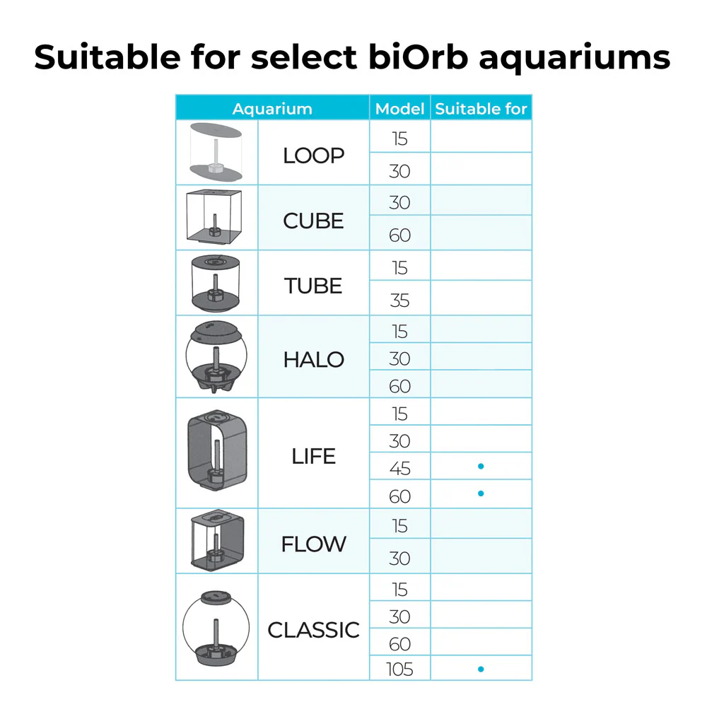 Samuel Baker Black Fan Coral Ornament - Image 4