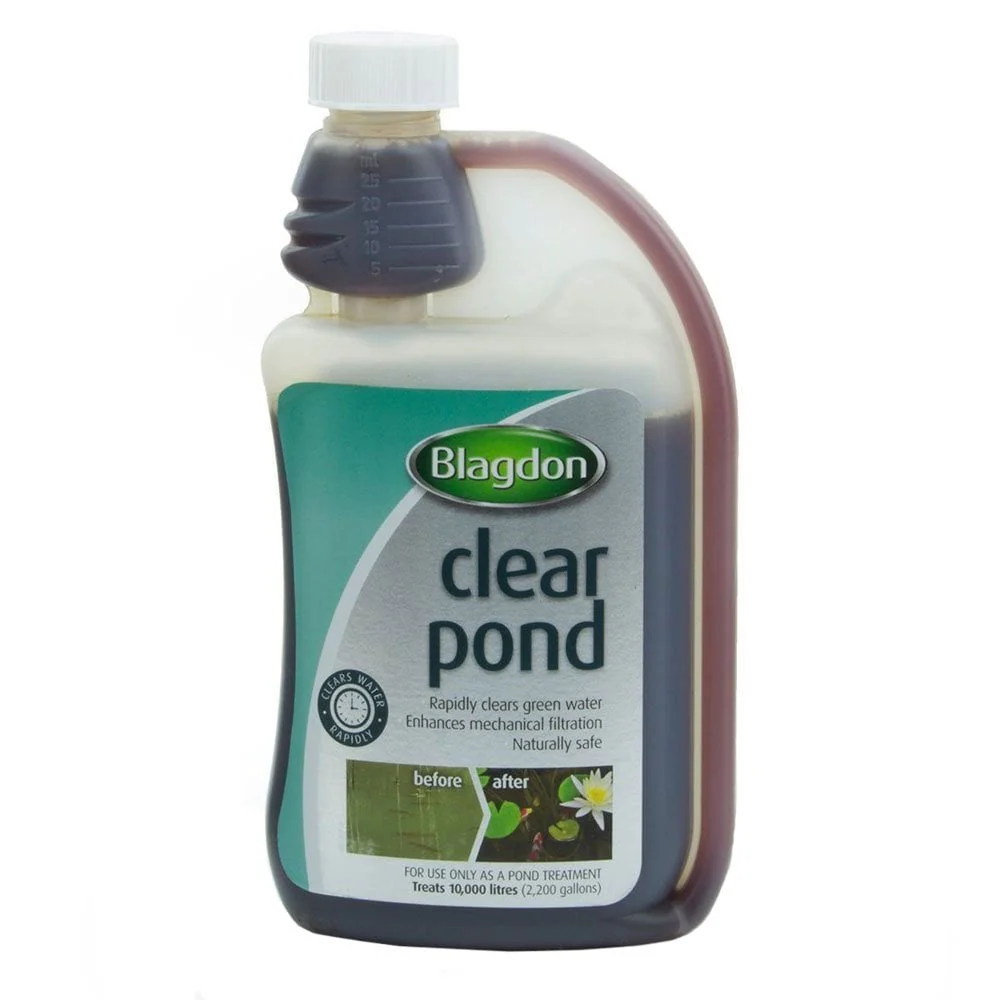 Clear Pond - Image 3