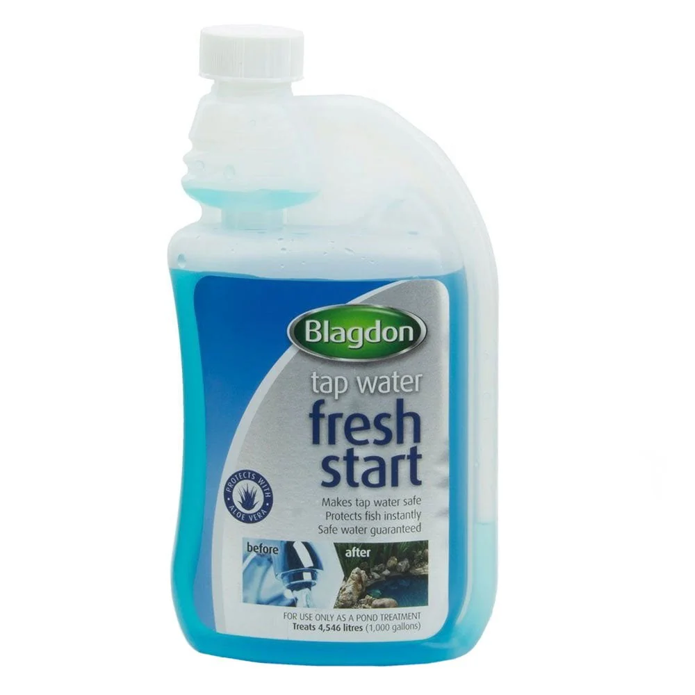 Fresh Start - Image 3