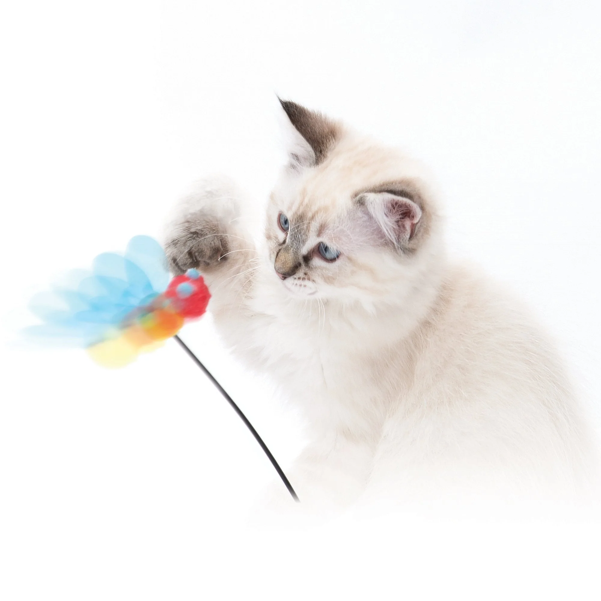 Play Spinning Bee - Image 5