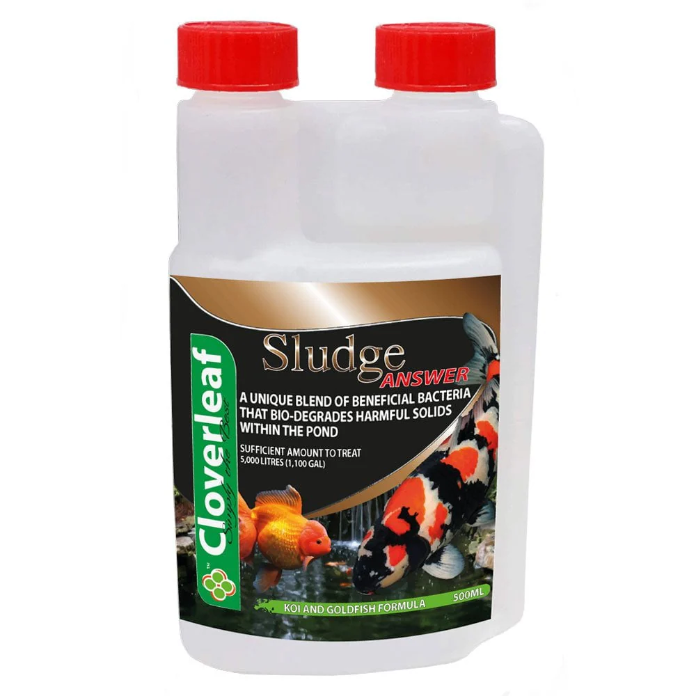 Sludge Answer - Image 3