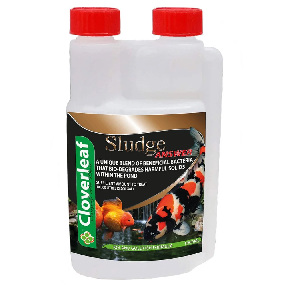 Sludge Answer - Image 4