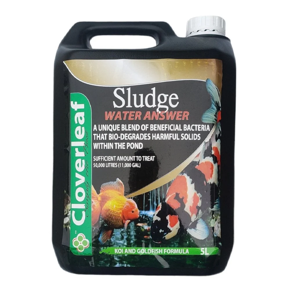 Sludge Answer - Image 5