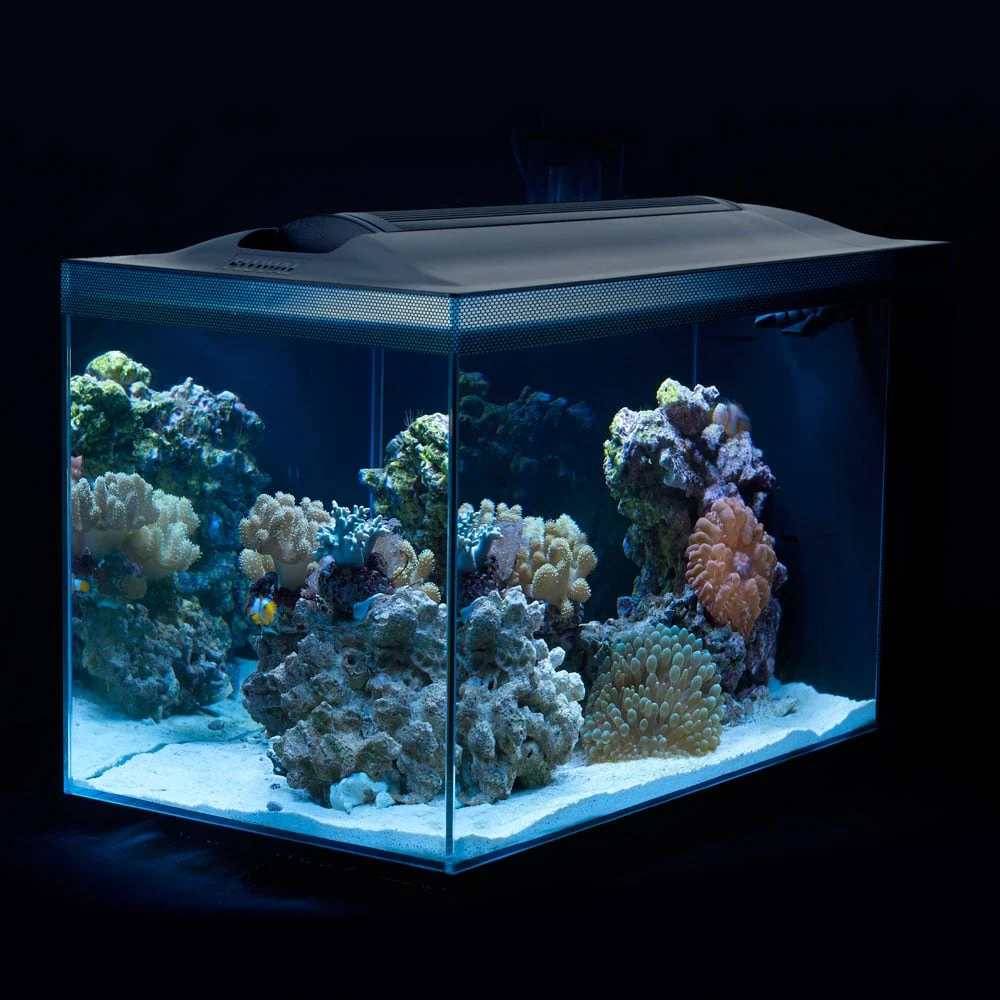 Evo Aquarium Kit - Image 3