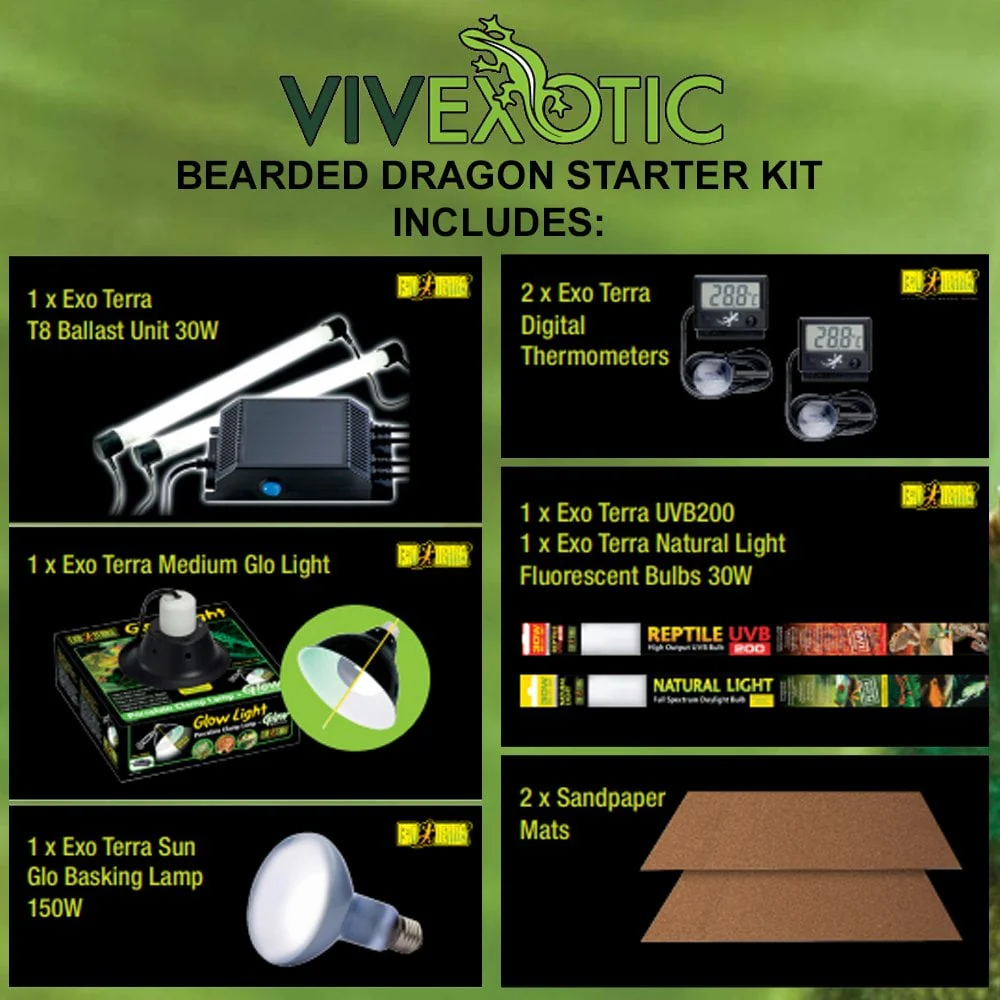 Bearded Dragon Starter Kit - Oak - Image 3