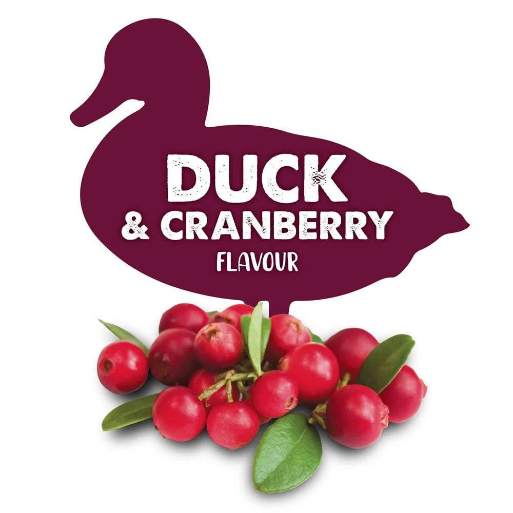Better Bones Duck & Cranberry Flavour Large Rolls (4pk) - Image 3