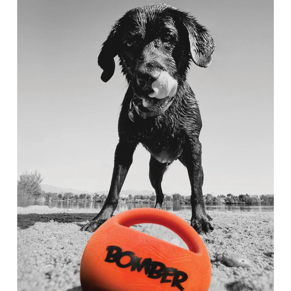 Bomber Ball - Image 4